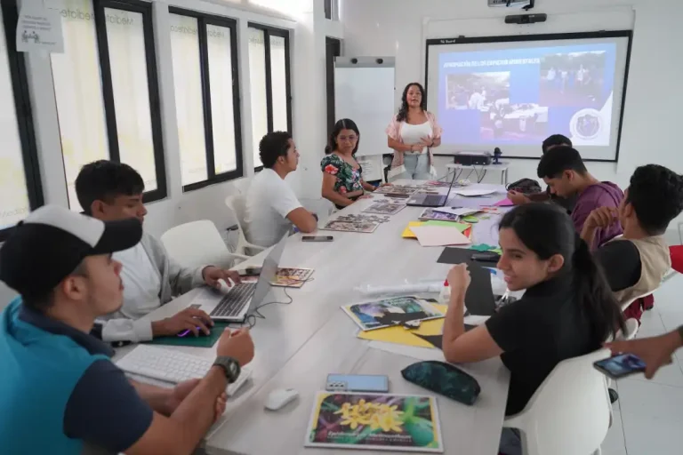 Organización de documentos para aplicación a subvenciones.